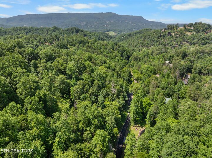 Property Photo:  Lot 0025 Black Walnut Flats Rd  TN 37862 