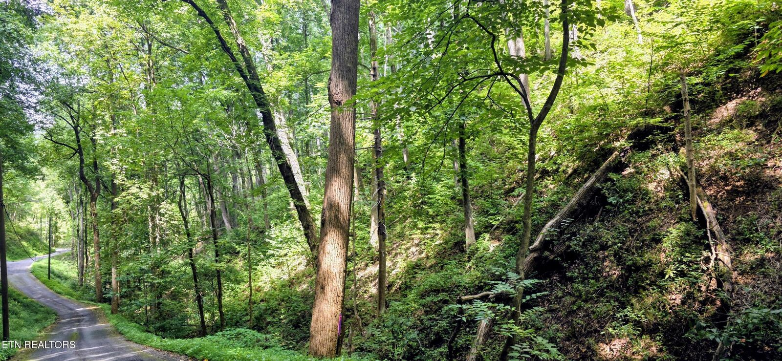Property Photo:  Lot 15 Emerald Springs Loop  TN 37862 