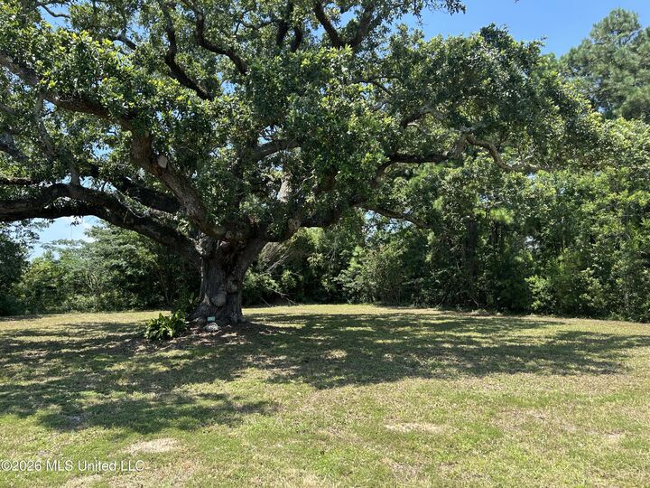 Property Photo:  209 Hillcrest Street  MS 39576 