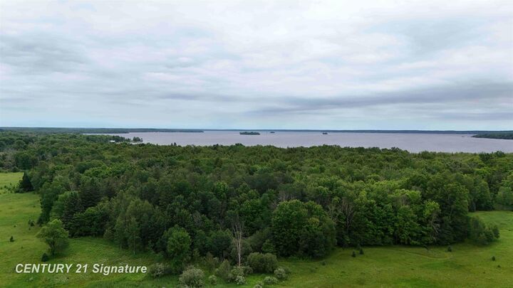 Property Photo: V/L County Road 477 Road MI 49853