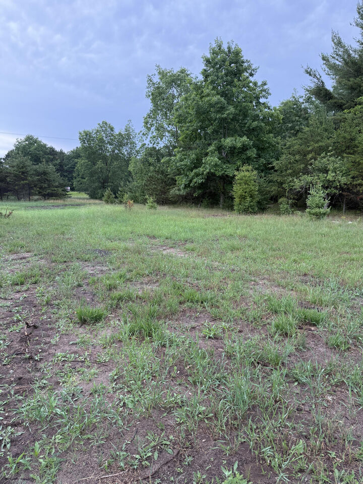 Property Photo:  Sadie Ln  MI 49614 