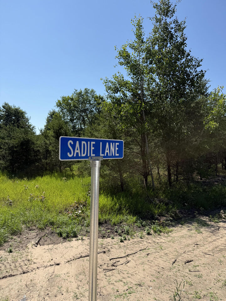 Property Photo: Sadie Ln MI 49614