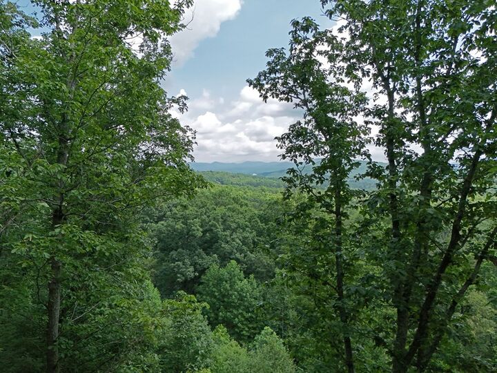 Property Photo: Lot 71 Chicory Drive W GA 30512