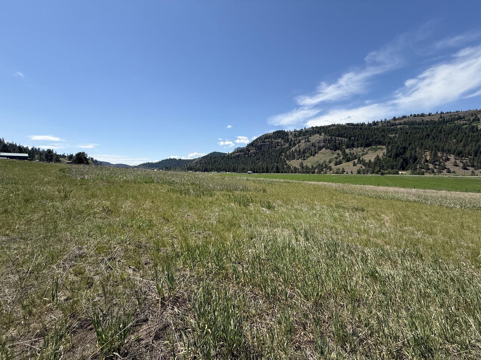 Property Photo:  Tbd Art Creek Rd  WA 99150 