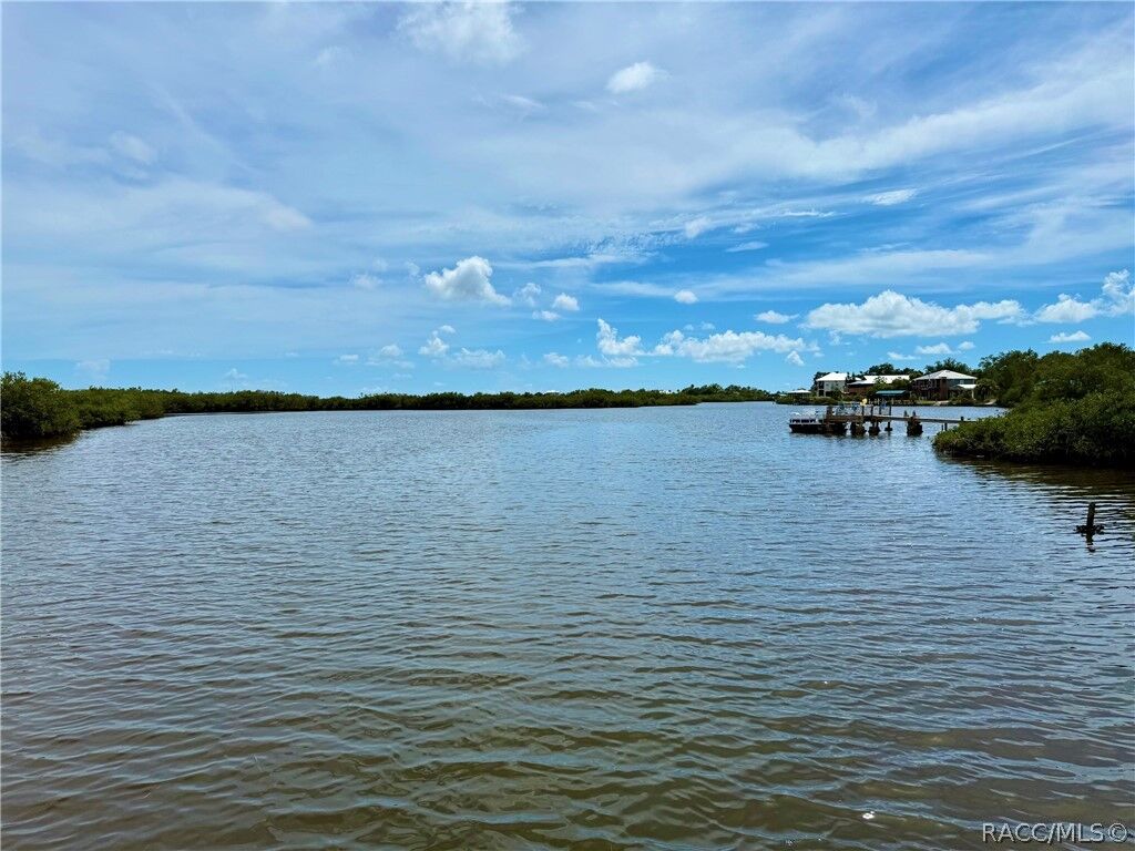 Property Photo:  1488 S Estuary Drive  FL 34429 