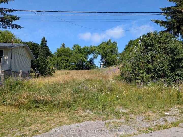 20 Shaw Street — photo 1