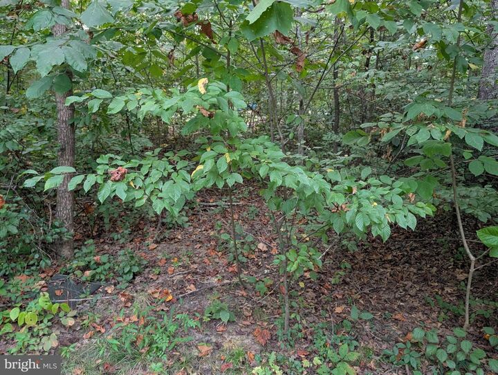 Property Photo:  203 Battlefield Road  VA 22508 