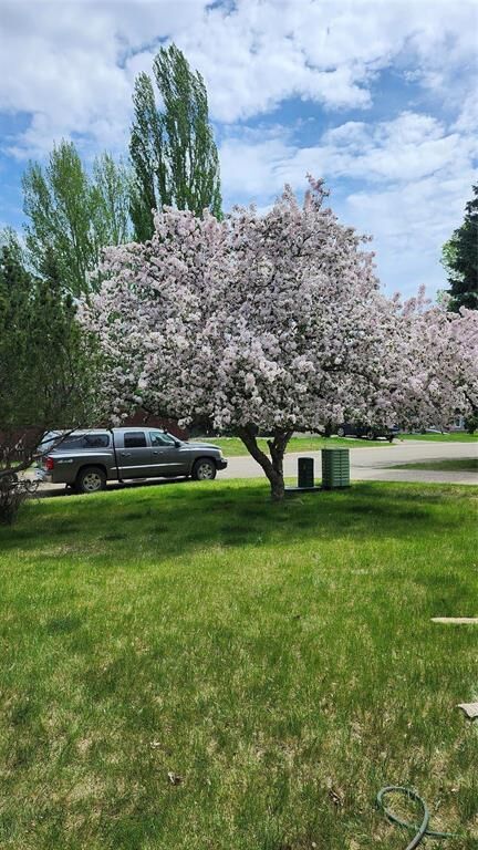 Property Photo: 36 Magnacca Crescent MB R7B 2N9