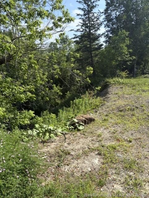Property Photo:  340 Milltown Boulevard  NB B3L 1Y1 