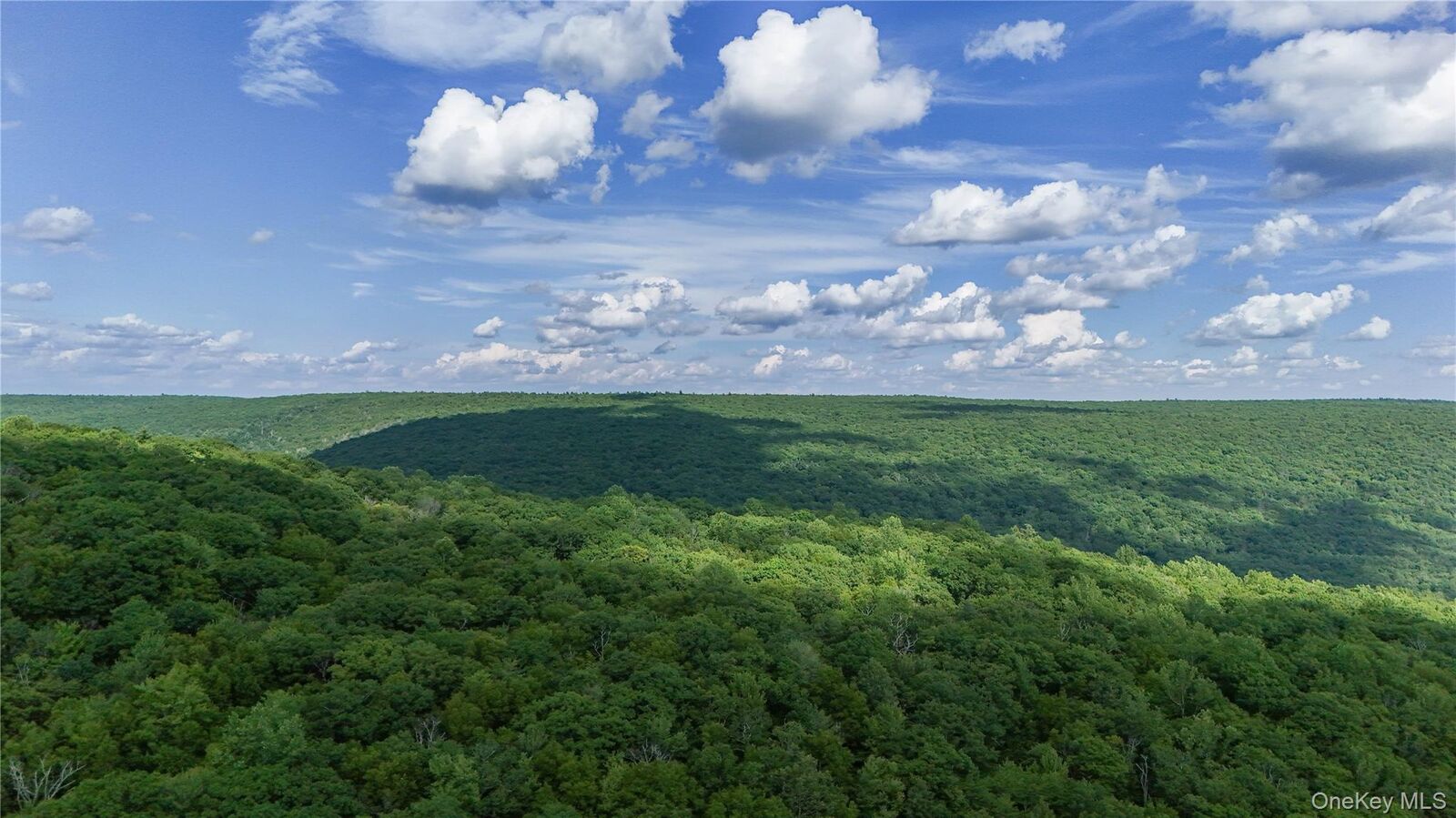 Property Photo: X Wilderness Trail NY 12777