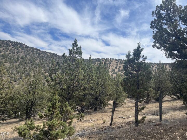 Property Photo: Tl 1314 Blackbutte Way OR 97750