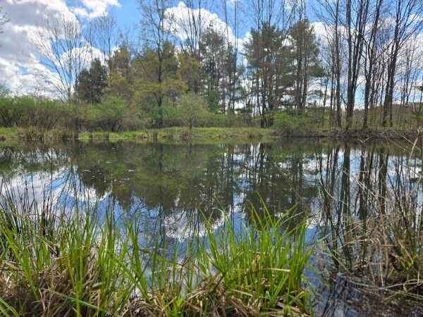 Property Photo:  143 Swift Road 1  NY 13905 