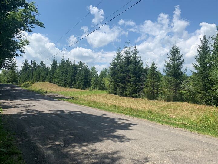 Property Photo:  143 Swift Road 1  NY 13905 