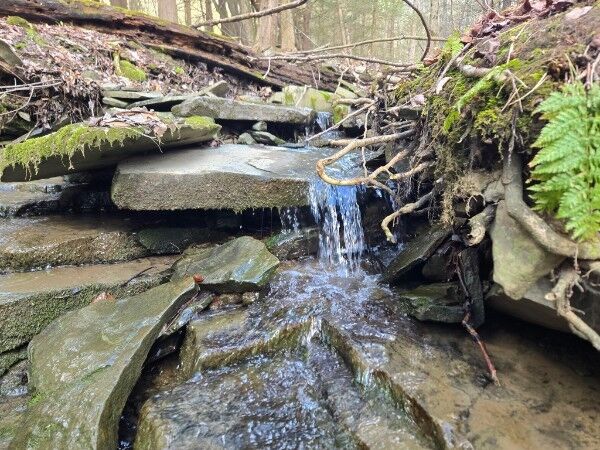 Property Photo:  143 Swift Road 2  NY 13905 