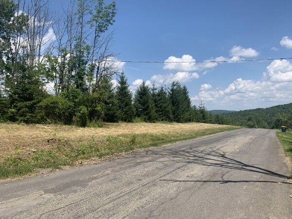 Property Photo:  143 Swift Road 2  NY 13905 