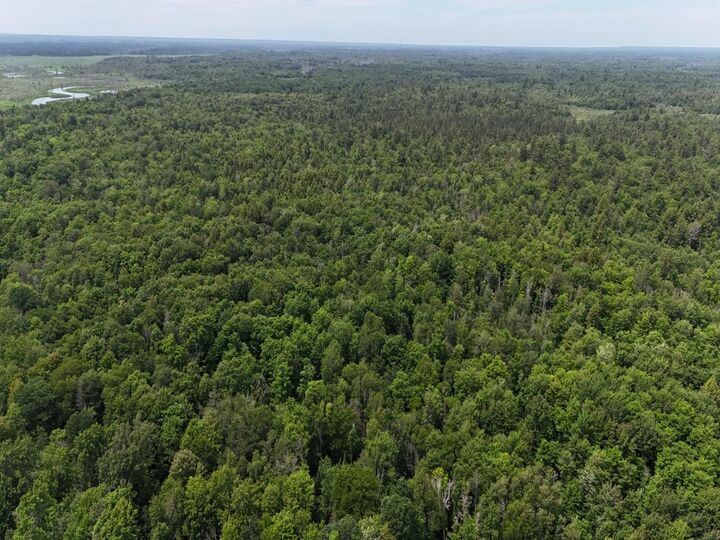 Property Photo:  000 Co Rd 510  MI 49868 