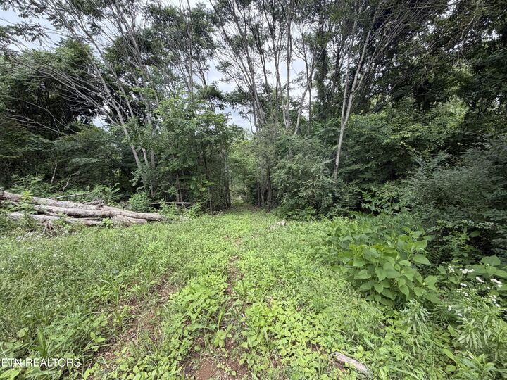 Property Photo: 143 Moser Lane TN 37716