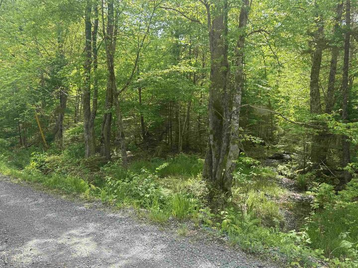 Property Photo:  Silvers Cove Road  NS B0R 1A0 