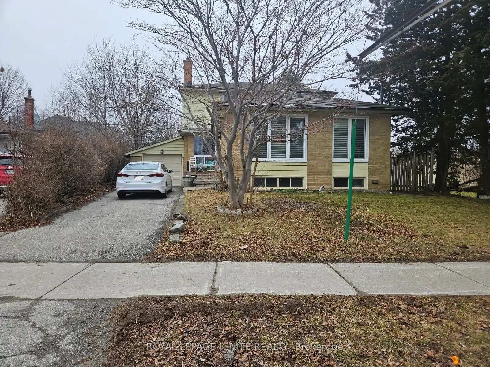 Property Photo:  31 Benfrisco Crescent Bsmnt  ON M1H 1N2 