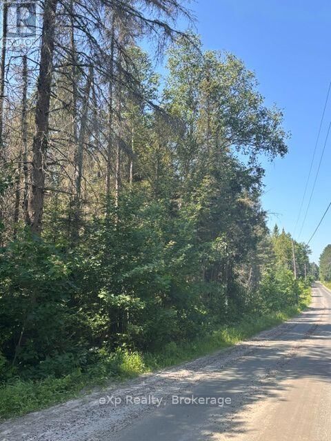 Boundary Road — photo 1