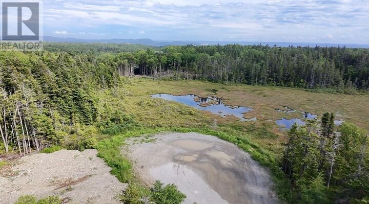 Property Photo:  13 Pine Avenue  NL A2N 3R3 