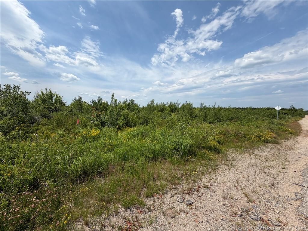 Property Photo:  Lot 5 O'Keefe  NB E1V 6J3 