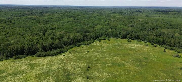 114.9 Acres Little River Drive — photo 1