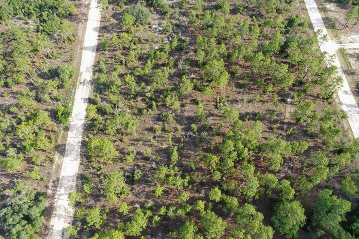 Property Photo:  0000 NE 132 Terrace Lot 3 Terrace  FL 32696 
