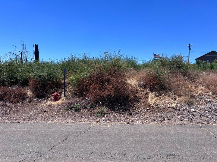Property Photo: 6731 Tyler Drive CA 95636