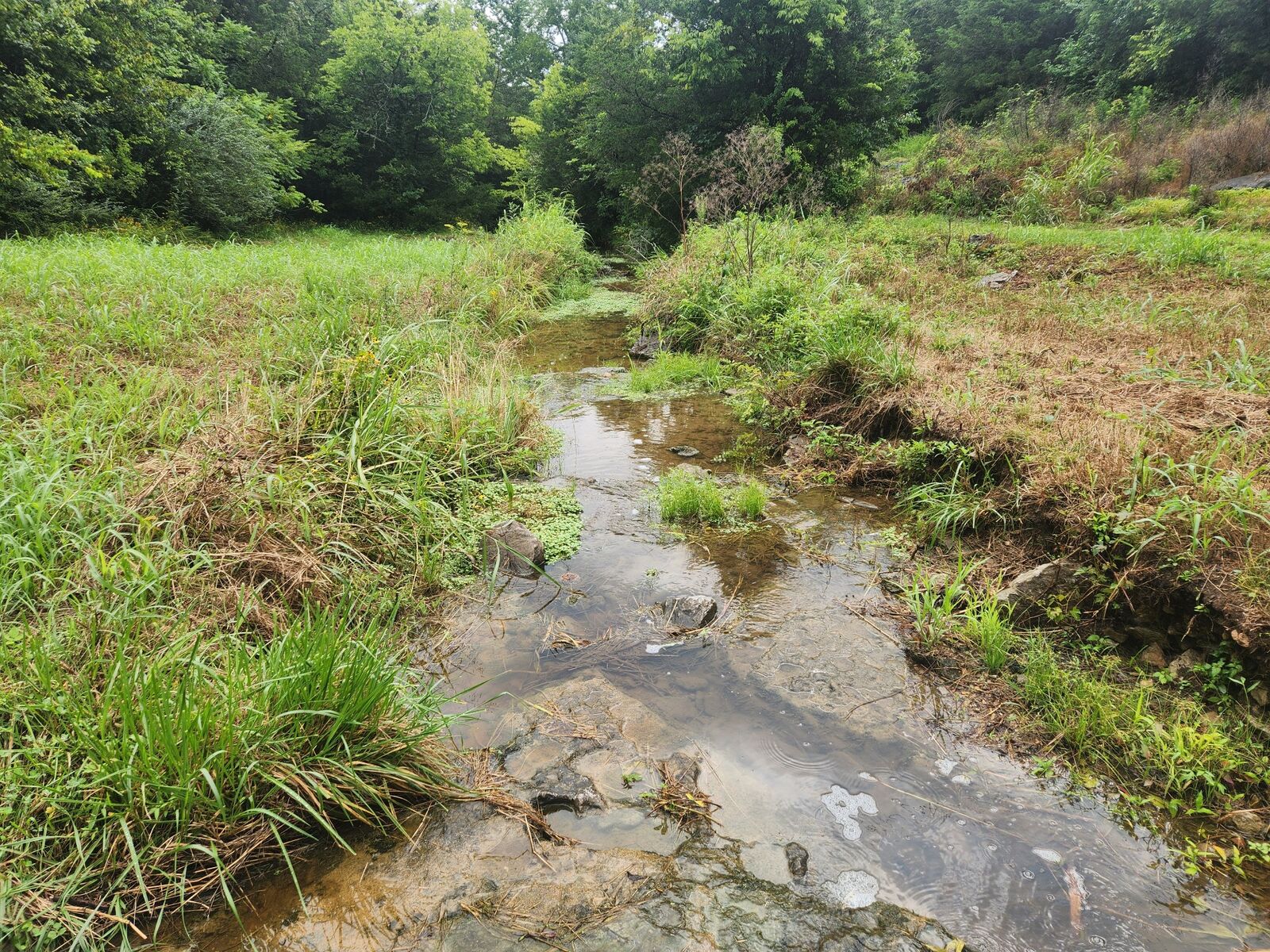 Property Photo:  0 Tolbert Hollow Rd  TN 37026 