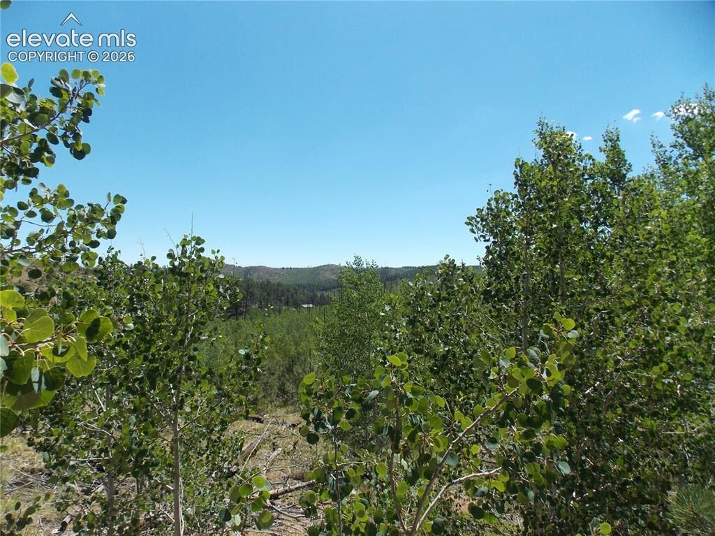 Property Photo:  615 Valley Drive  CO 80816 