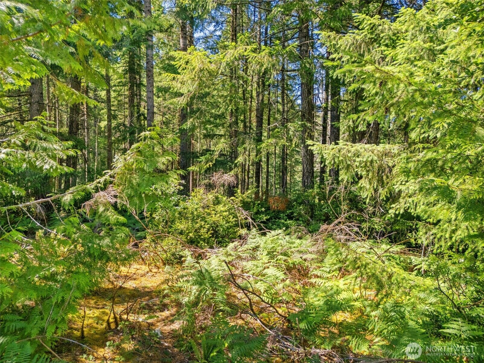 Property Photo: 0 Sp1357 E Glenwood Drive WA 98592