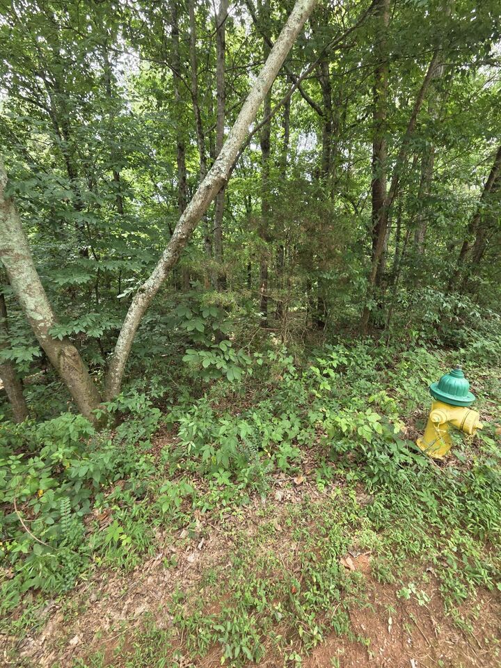 Property Photo: 0 Callen Cove TN 37303