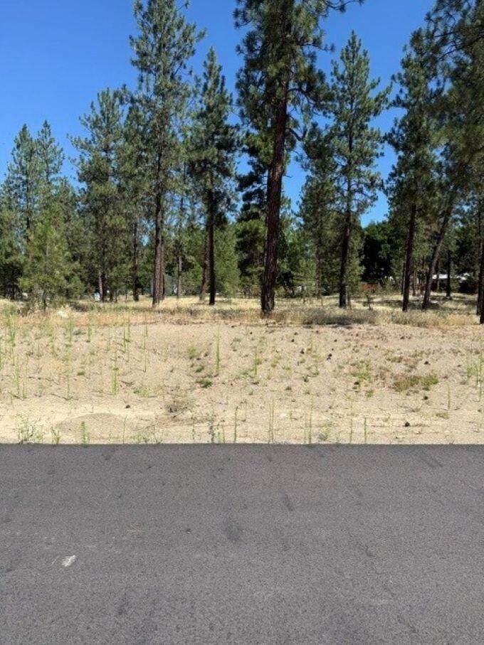 Property Photo: Lot 13 Long Lake Estates Est WA 99026