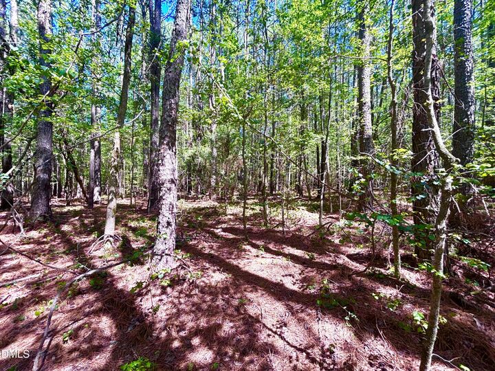 Property Photo:  0 Pool Rock Plantation Lane  NC 27537 