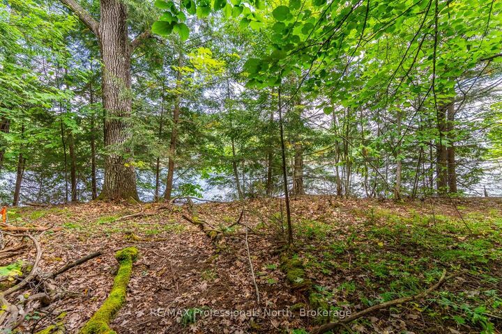 Property Photo:  1024 Tarpaper Trail  ON K0M 1S0 