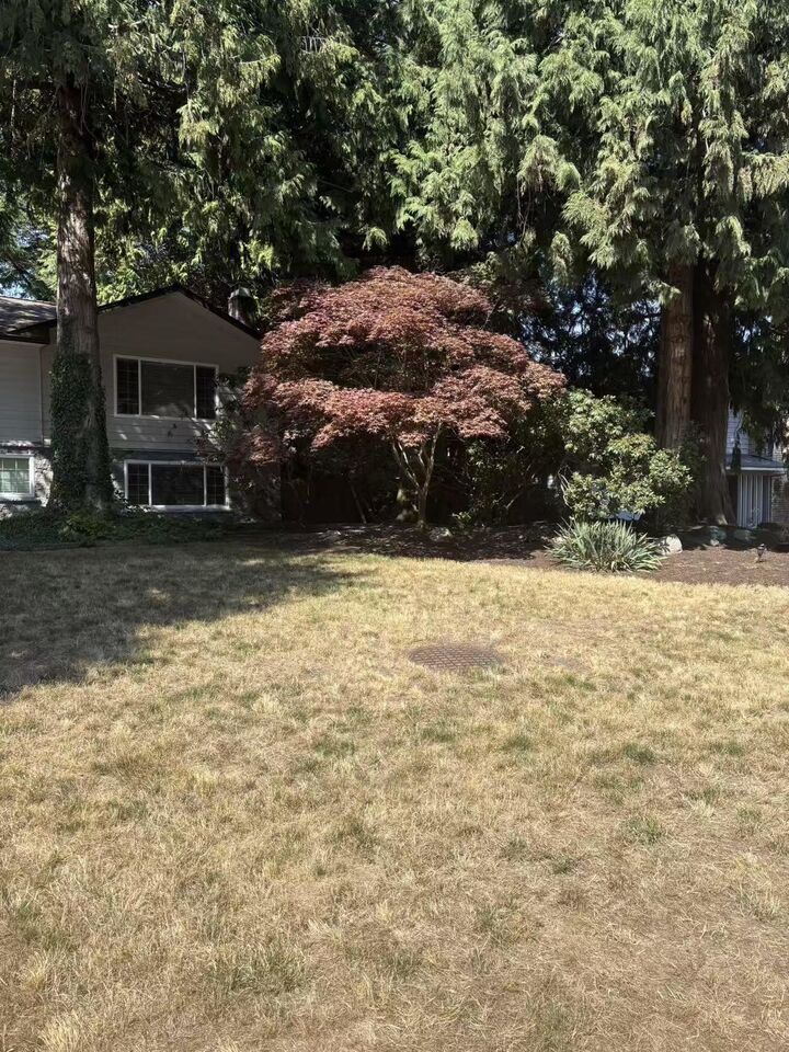 Property Photo:  4863 Cedar Crescent Upper Suite  BC V4M 1J9 