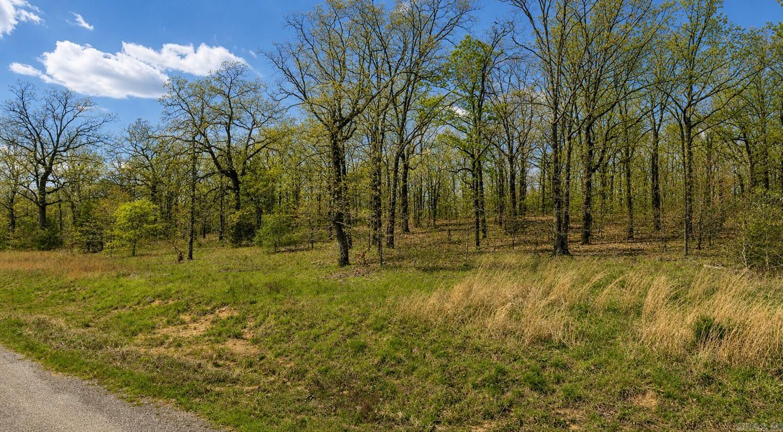 Property Photo:  000 Aaron Loop  AR 72173 