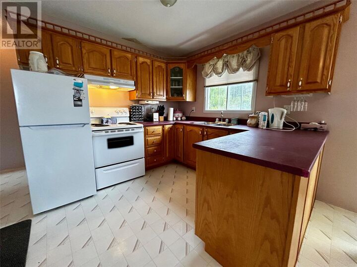 Property Photo: 10 Birchy Cove Road NL A0K 3E0