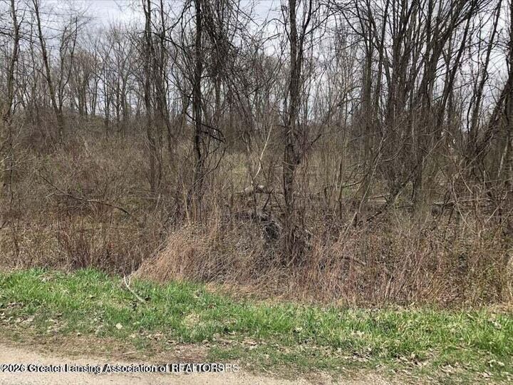 Property Photo:  102 Lakeside Drive  MI 48871 