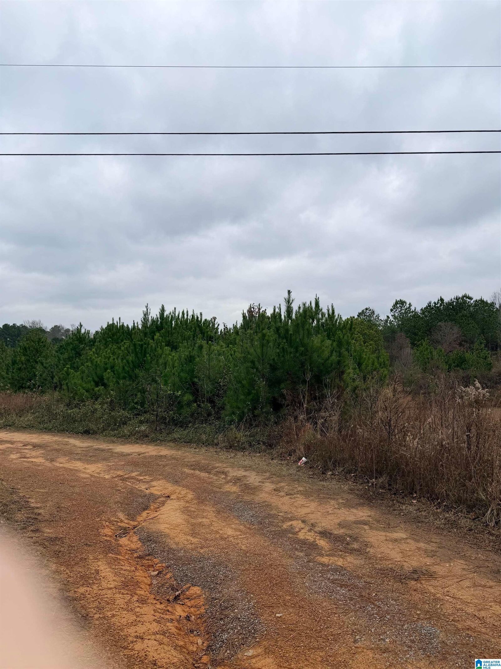 Property Photo: 0 Lazy Y Road 0 AL 35079