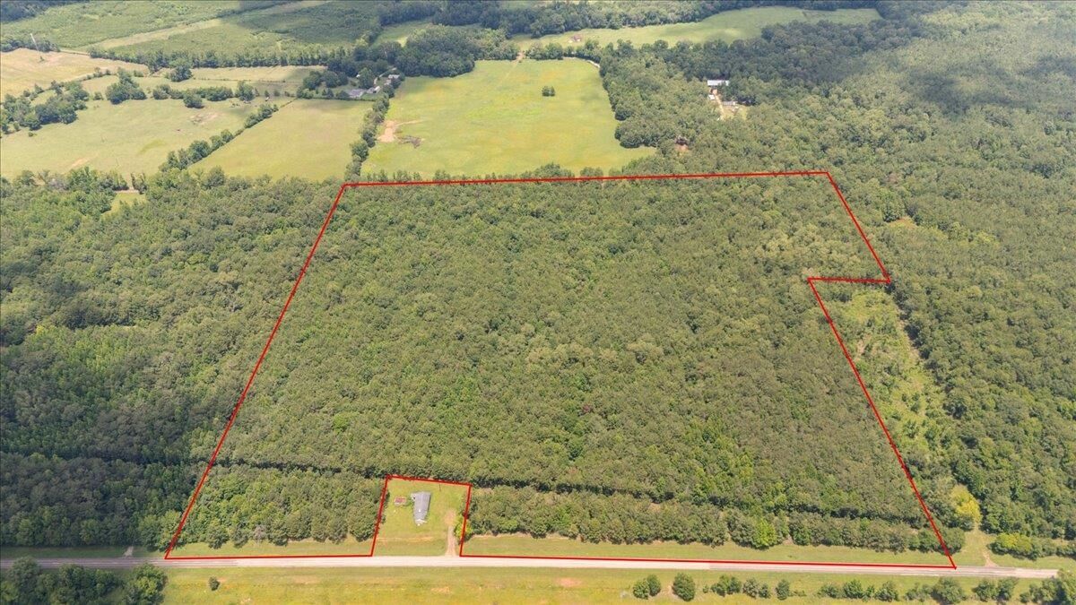 Property Photo: Tbd 50.795 Ac Fm 2496 TX 75681