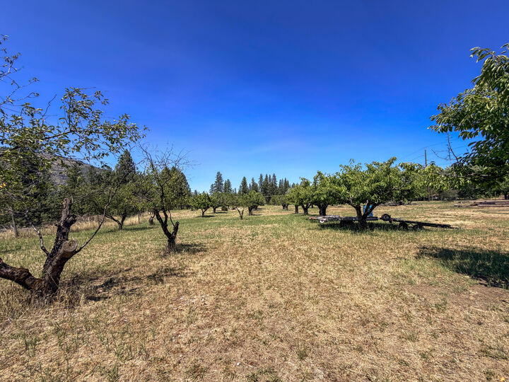 Property Photo: 1250 Peachcrest Rd WA 99141