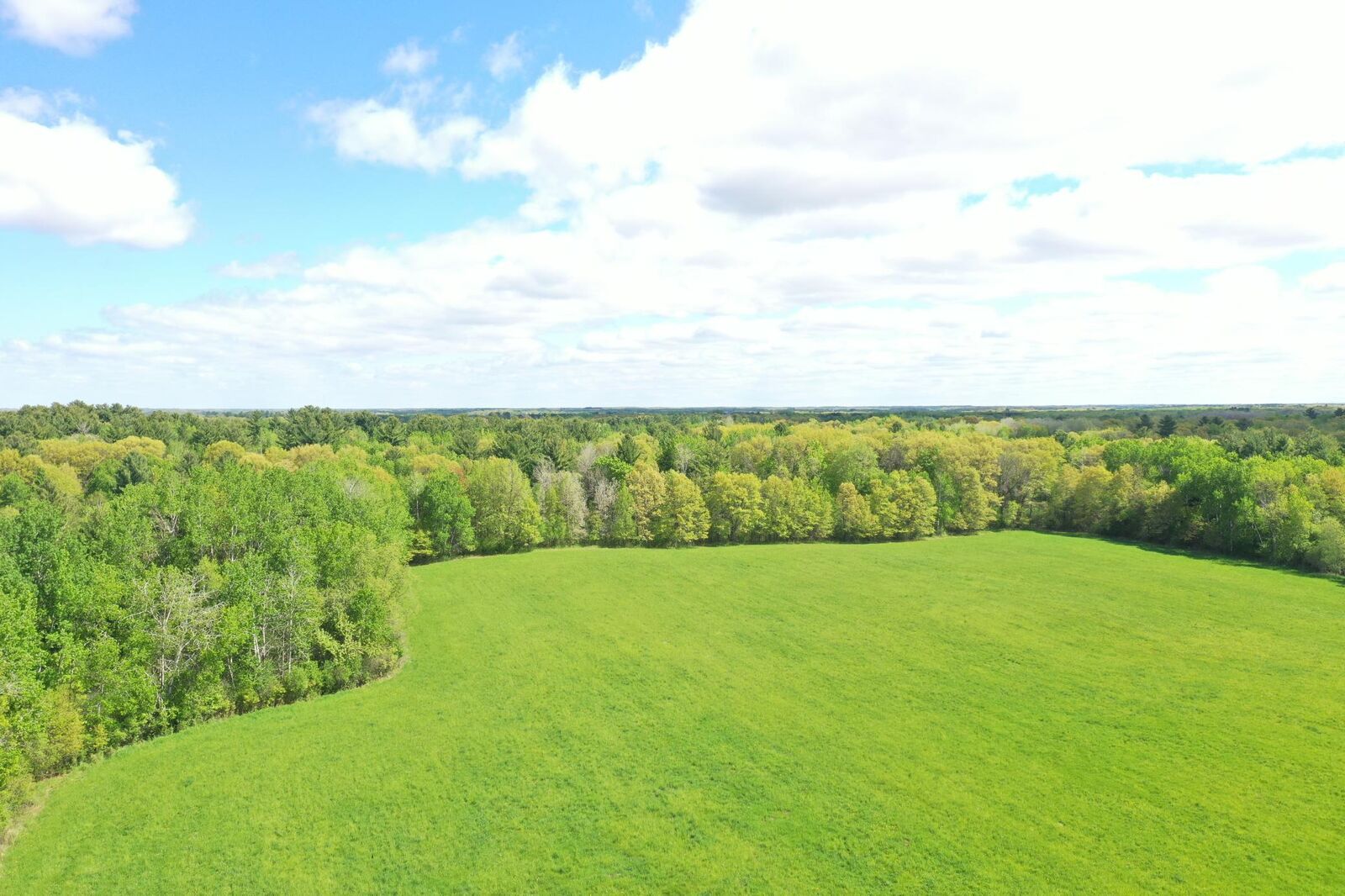 Property Photo:  Na Rice Street  MN 55006 
