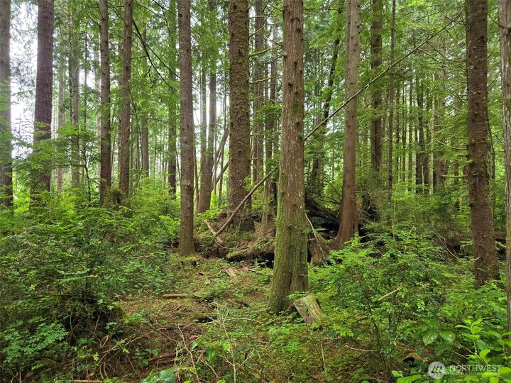 Property Photo: 0 Nka Ocean Beach Road WA 98536