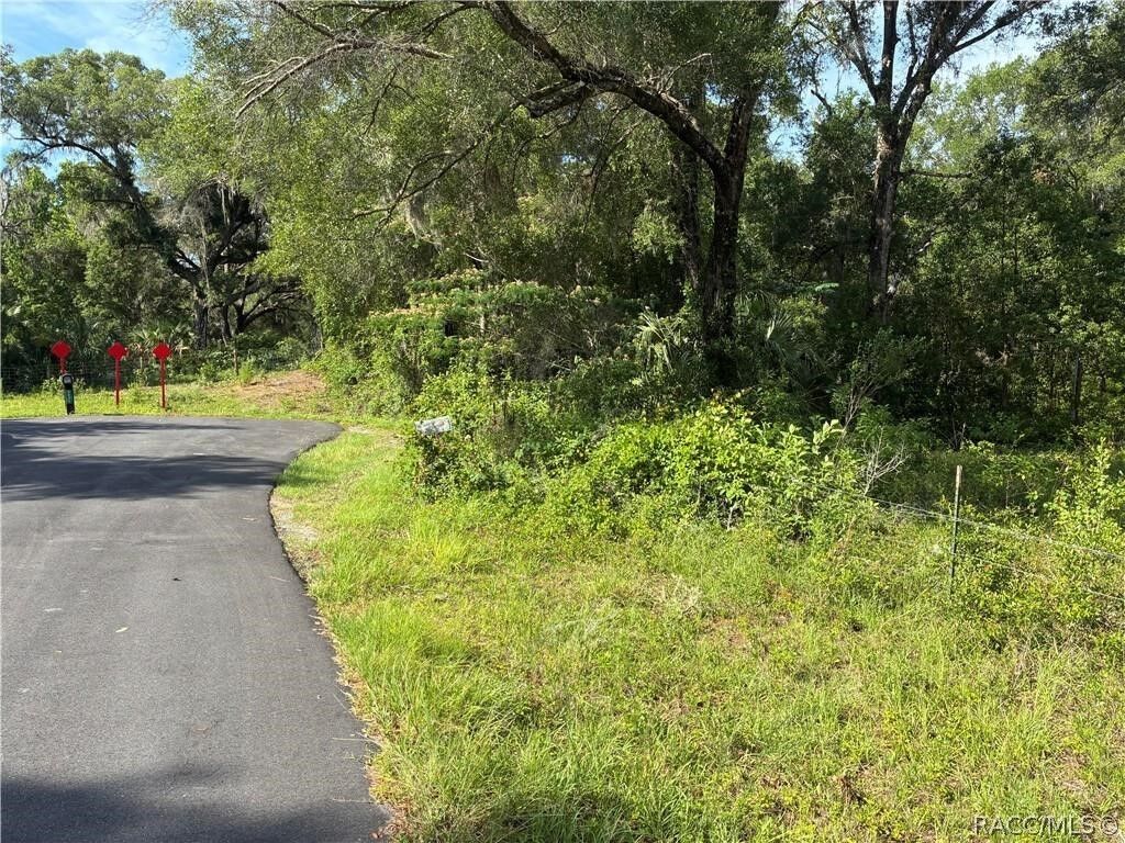Property Photo: 5236 N Oldwood Point FL 34442