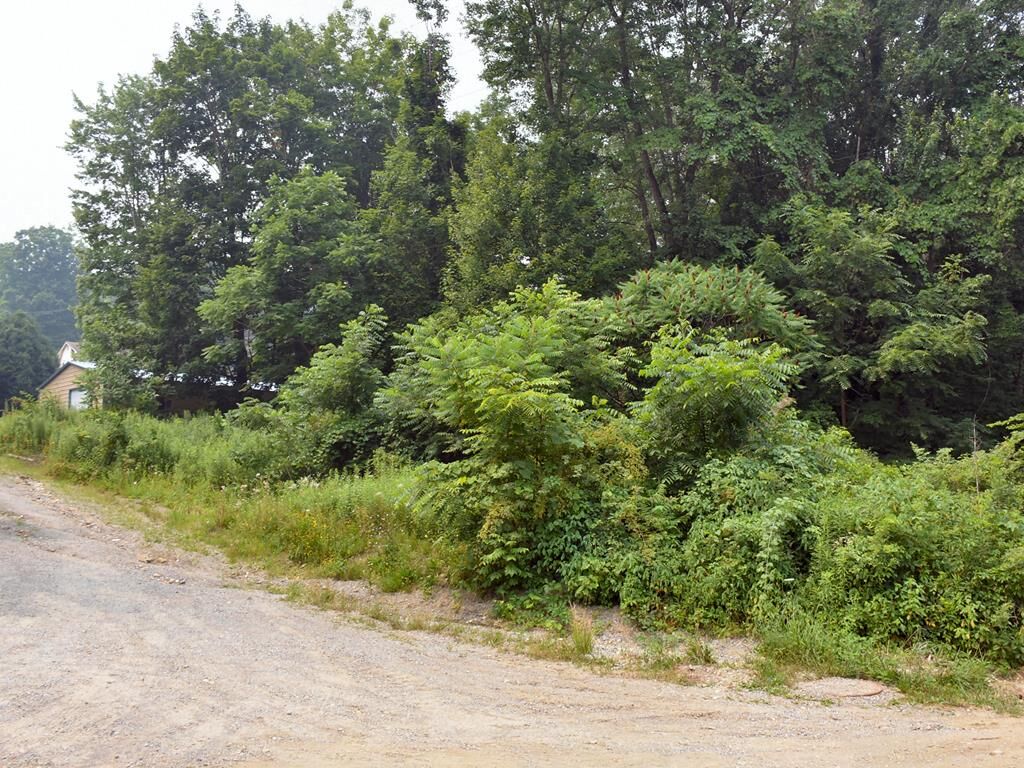 Property Photo:  65-050680 Beatty Avenue  PA 16335 