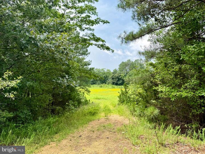 Property Photo: 45291 Take It Easy Ranch Road MD 20620
