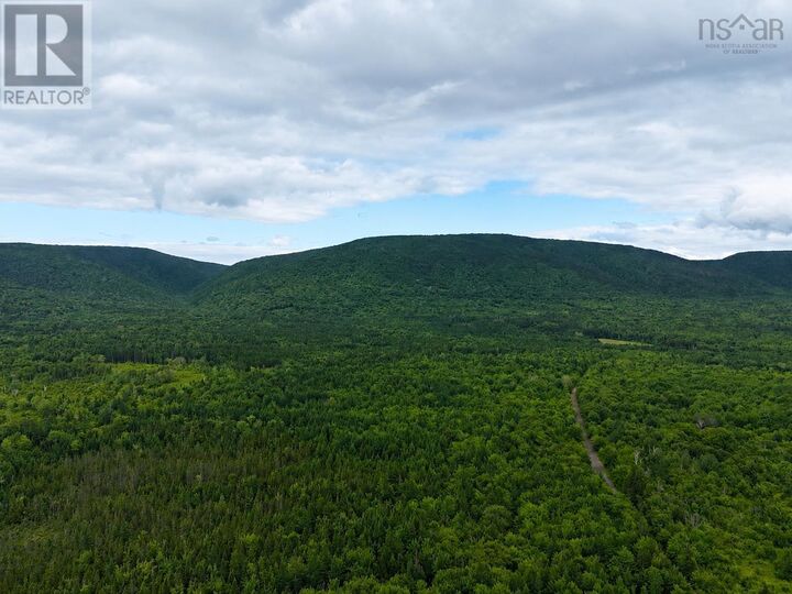 Property Photo:  0 Mt.pleasant Big Brook Rd.  NS B0E 2H0 