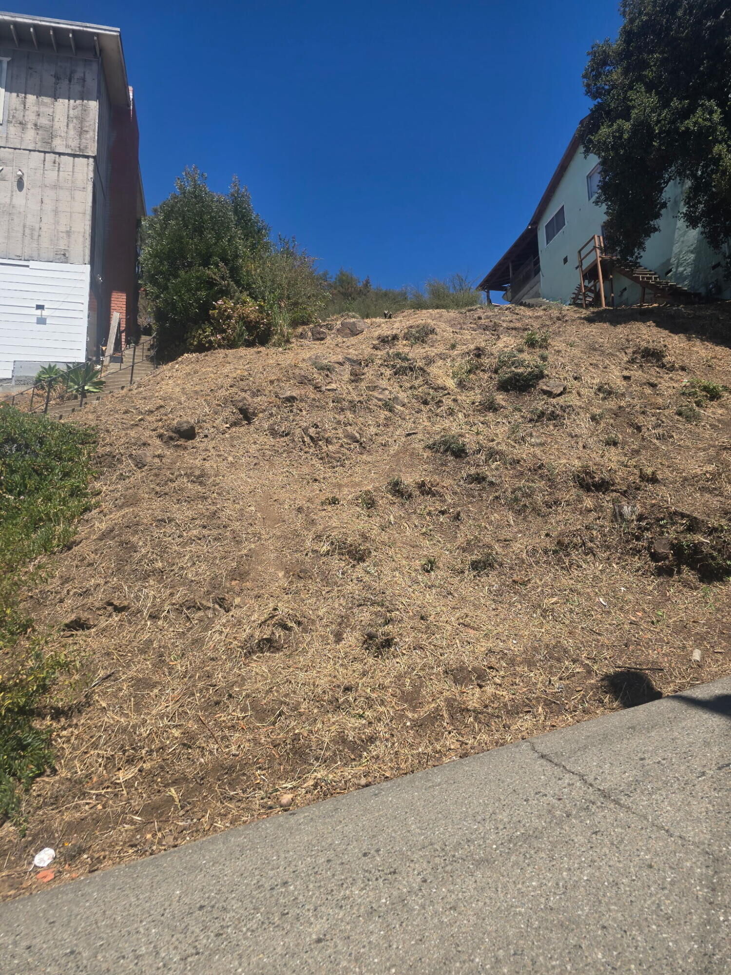 Property Photo: 0 Burr Street CA 94621